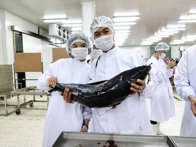 乖宝麦富迪“厂开玩”揭秘泰国工厂:主推猫产品 软包罐头月产能300吨